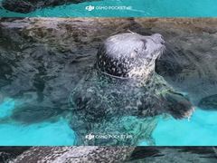 -哈尔滨波塞冬海底世界