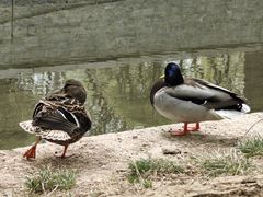 -元大都城垣遗址公园