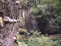 -青城山