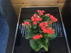 -家琳甜品(江南东店)