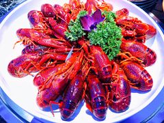 -96农蝎虾(江桥老街店)