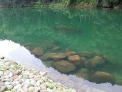 -祁门牯牛降观音堂风景区