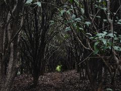 -白马涧龙池景区