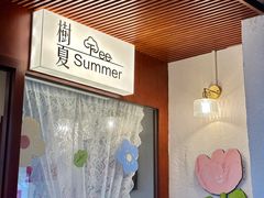 -树夏Tree Summer