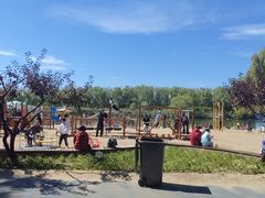 -大兴滨河森林公园