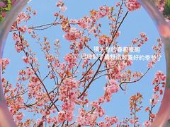 -上海辰山植物园