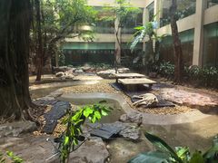 -麒麟中餐厅·经典粤菜·地道菜式老字号(广州长隆酒店)