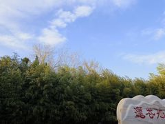 -莲花池公园