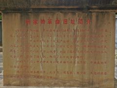 -延安杨家岭革命旧址