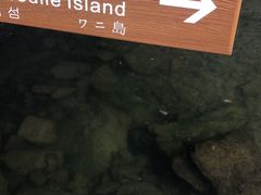 -蛇蟠岛