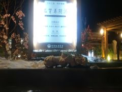 -白桦林温泉谷