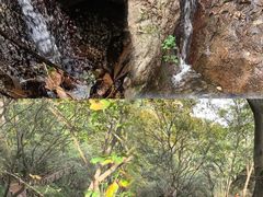 -大岭沟猕猴桃谷风景区