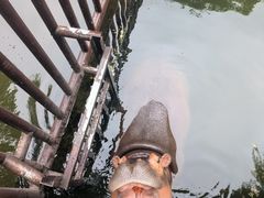 -海南热带野生动植物园