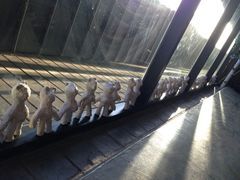 android_upload_pic-济州岛泰迪熊博物馆