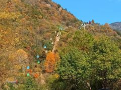 -东天目山风景区
