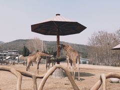 -大连森林动物园