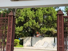 -庾园