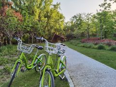 -昆山城市生态森林公园