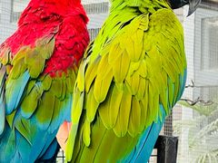 -南宫五洲植物乐园