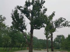 -北坞公园