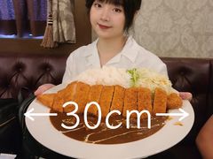 -横须贺海军咖喱本铺