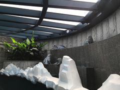 -青岛海底世界-水族馆