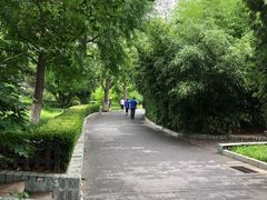 -丰台花园