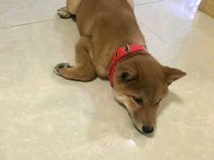 -雪花姐姐(泰华城新天地店)