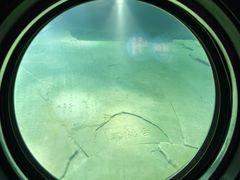 -白鹤梁水下博物馆