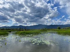 -野鸭湖国家湿地公园