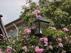 -颐和路民国时期公馆风貌区