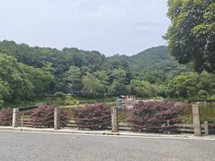 -广州市帽峰山景区
