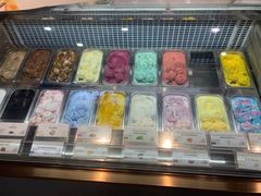 -iceason爱茜茜里·意大利健康冰淇淋(骑龙巷店)