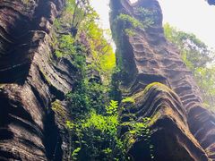 -梭布垭石林景区