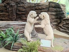 -陕西自然博物馆