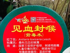 -呀诺达热带雨林