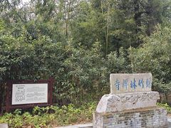 -镇江市南山风景名胜区竹林景区