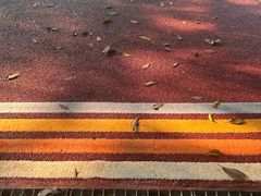 -广州市流溪河国家森林公园