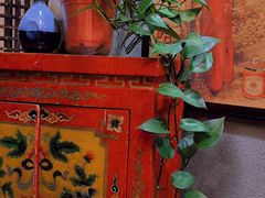 -黑蚂蚁(南河店)