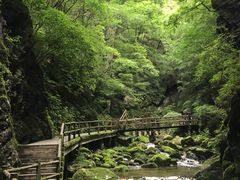 -牛背梁国家森林公园