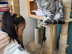 -猫咪咖啡店(新城大街店)