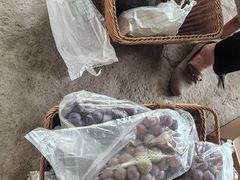 -马陆小张葡萄园农家乐