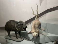 -武汉园博园(武汉自然博物馆)