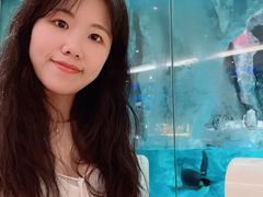 -帝企鹅自助餐厅•儿童岛•真企鹅(长隆企鹅酒店)