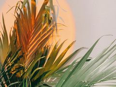 -颐玖 咖啡|甜品
