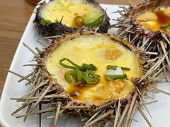 -海胆小馆(东北水饺·春柳店)