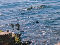 -大理洱海