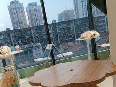 -怪兽屋·羊驼·猫咖·狗咖(俊华广场店)