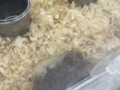 -爱侣宠医·鹦鹉专科·小型哺乳类·异宠专科(灵石路店)