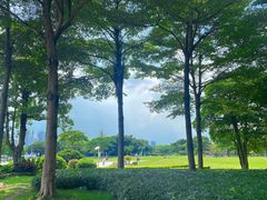 -二沙岛艺术公园